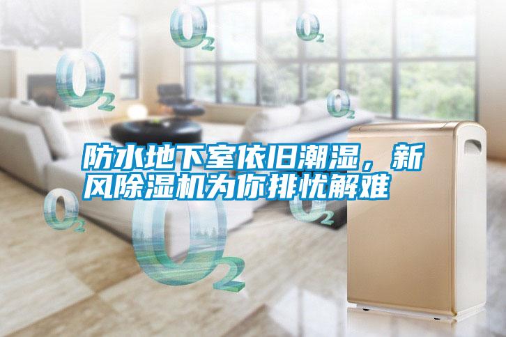 防水地下室依舊潮濕，新風(fēng)除濕機(jī)為你排憂解難