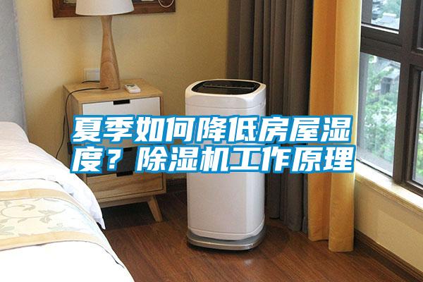 夏季如何降低房屋濕度？除濕機(jī)工作原理