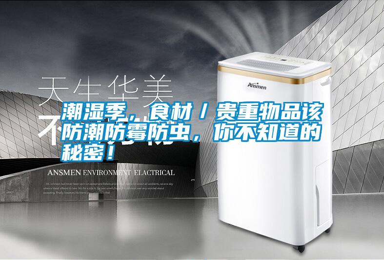潮濕季，食材／貴重物品該防潮防霉防蟲，你不知道的秘密！