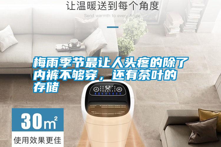 梅雨季節(jié)最讓人頭疼的除了內(nèi)褲不夠穿，還有茶葉的存儲