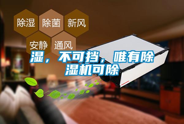 濕，不可擋，唯有除濕機可除