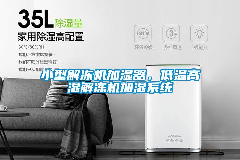 小型解凍機(jī)加濕器，低溫高濕解凍機(jī)加濕系統(tǒng)
