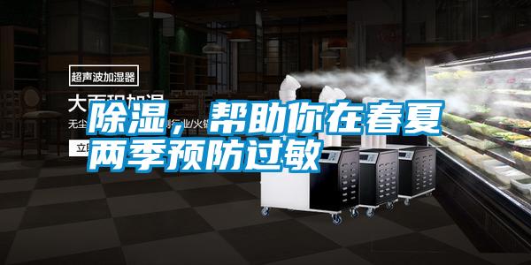 除濕，幫助你在春夏兩季預(yù)防過敏