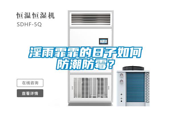 淫雨霏霏的日子如何防潮防霉？