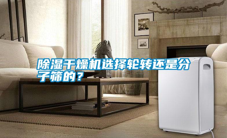 除濕干燥機選擇輪轉(zhuǎn)還是分子篩的？