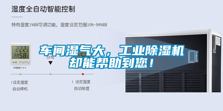車間濕氣大，工業(yè)除濕機卻能幫助到您！