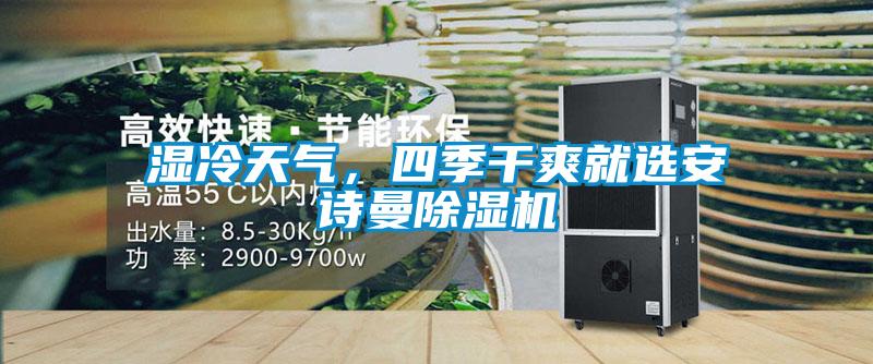 濕冷天氣，四季干爽就選安詩(shī)曼除濕機(jī)