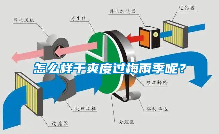 怎么樣干爽度過梅雨季呢？