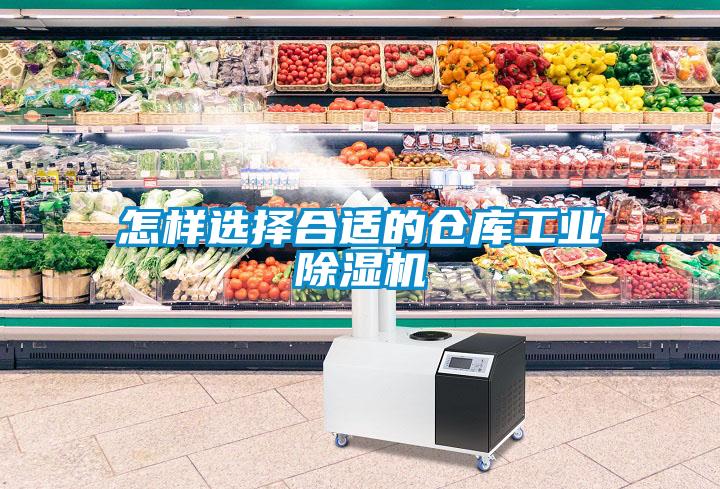 怎樣選擇合適的倉庫工業(yè)除濕機