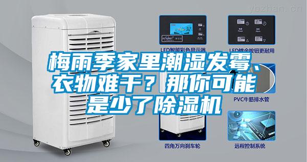 梅雨季家里潮濕發(fā)霉、衣物難干？那你可能是少了除濕機