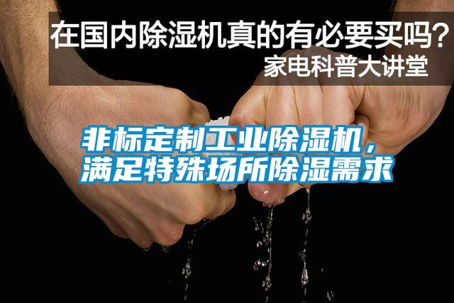 非標(biāo)定制工業(yè)除濕機(jī)，滿足特殊場所除濕需求