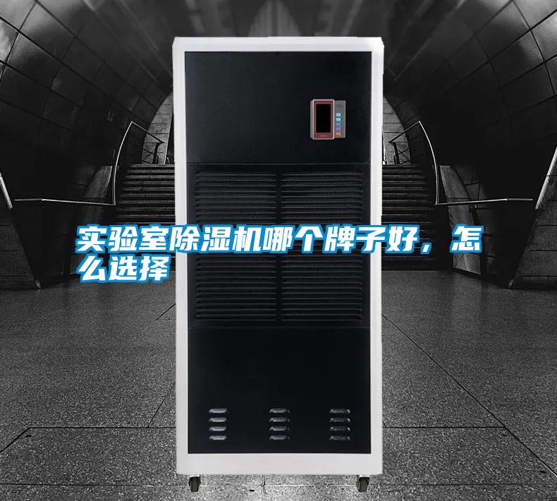 實(shí)驗(yàn)室除濕機(jī)哪個(gè)牌子好，怎么選擇