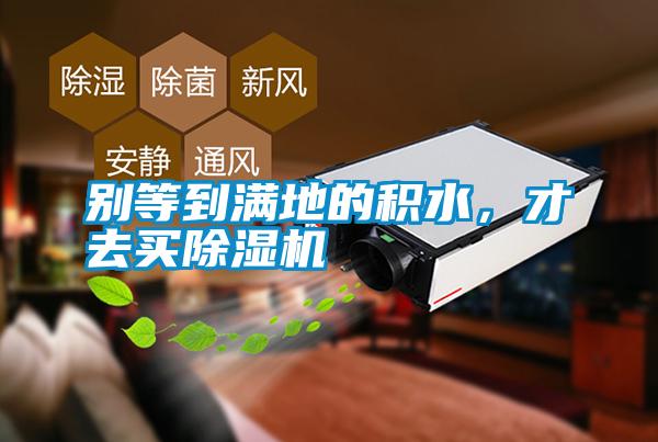 別等到滿(mǎn)地的積水，才去買(mǎi)除濕機(jī)