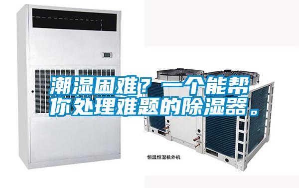 潮濕困難？一個能幫你處理難題的除濕器。