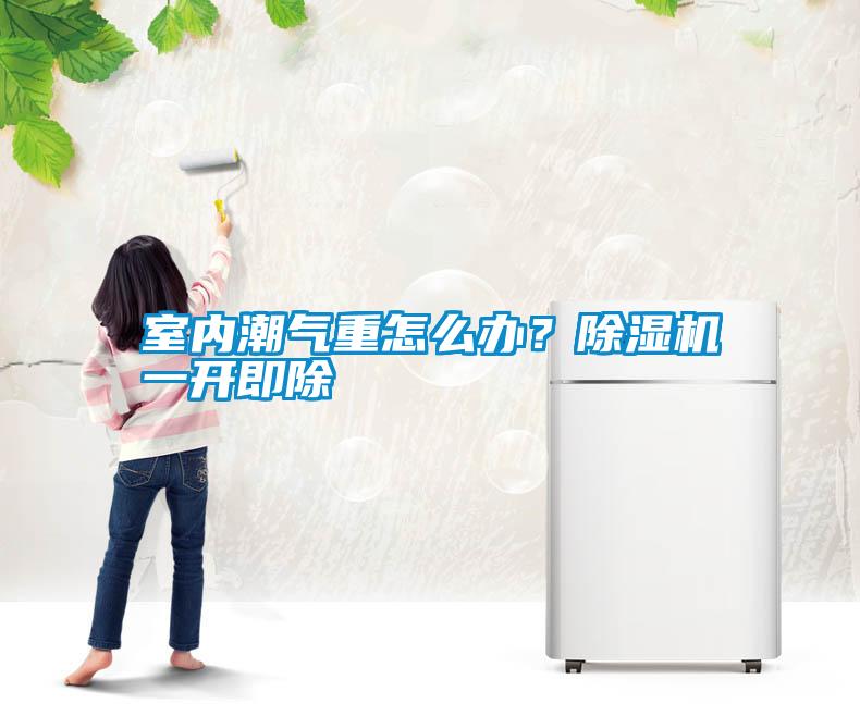室內(nèi)潮氣重怎么辦？除濕機(jī)一開即除