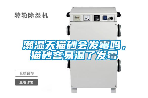 潮濕天貓砂會發(fā)霉嗎，貓砂容易濕了發(fā)霉