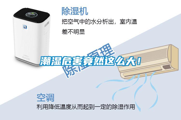 潮濕危害竟然這么大！
