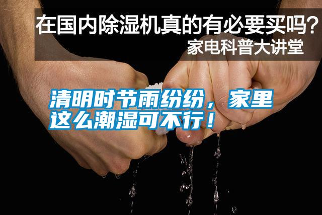 清明時節(jié)雨紛紛，家里這么潮濕可不行！