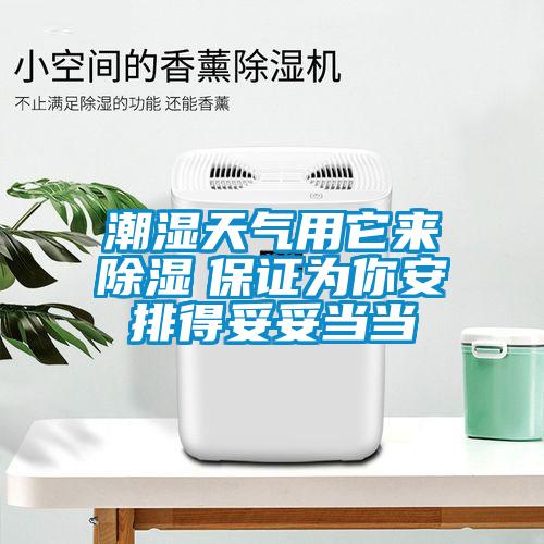 潮濕天氣用它來(lái)除濕　保證為你安排得妥妥當(dāng)當(dāng)