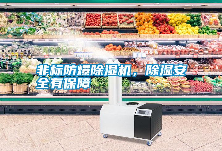 非標(biāo)防爆除濕機(jī)，除濕安全有保障