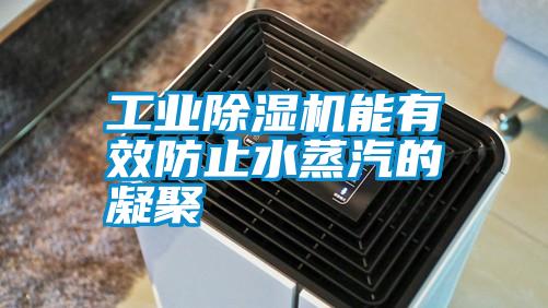 工業(yè)除濕機(jī)能有效防止水蒸汽的凝聚