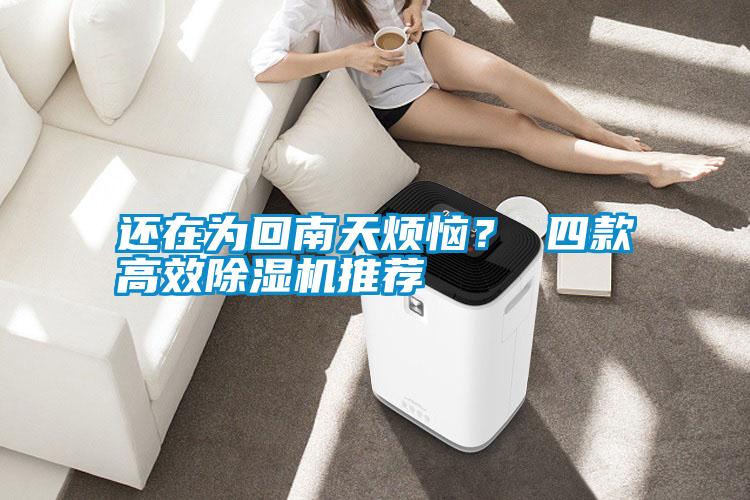 還在為回南天煩惱？ 四款高效除濕機(jī)推薦