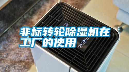 非標(biāo)轉(zhuǎn)輪除濕機(jī)在工廠(chǎng)的使用