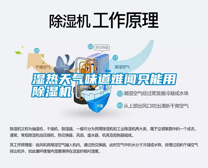 濕熱天氣味道難聞只能用除濕機(jī)
