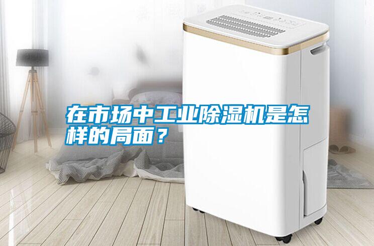 在市場中工業(yè)除濕機(jī)是怎樣的局面？