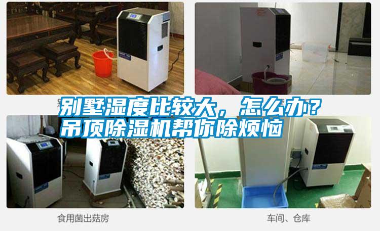 別墅濕度比較大，怎么辦？吊頂除濕機(jī)幫你除煩惱