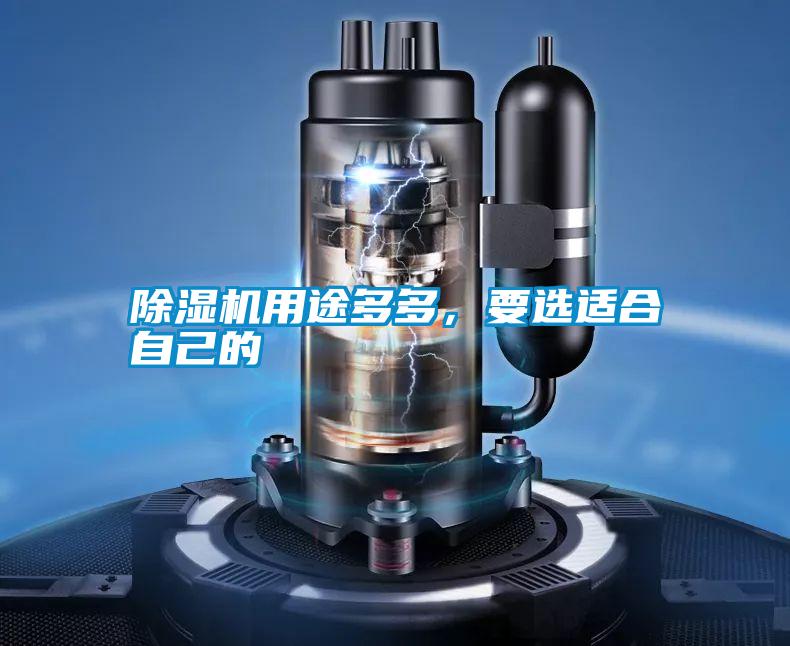 除濕機(jī)用途多多，要選適合自己的