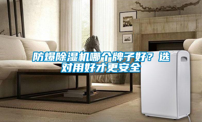 防爆除濕機哪個牌子好？選對用好才更安全