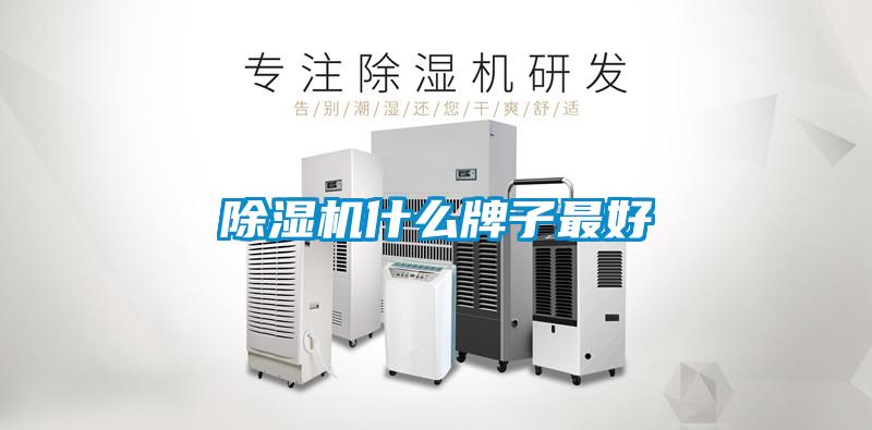 除濕機(jī)什么牌子最好