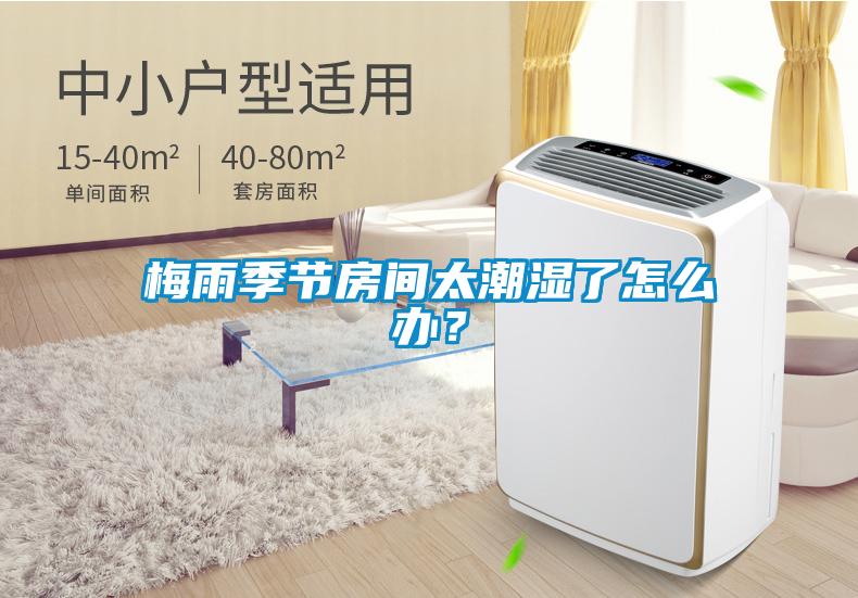 梅雨季節(jié)房間太潮濕了怎么辦？