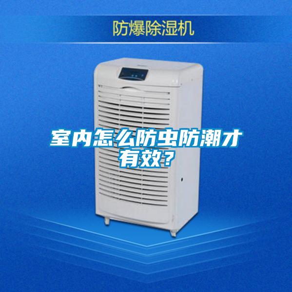 室內(nèi)怎么防蟲防潮才有效？