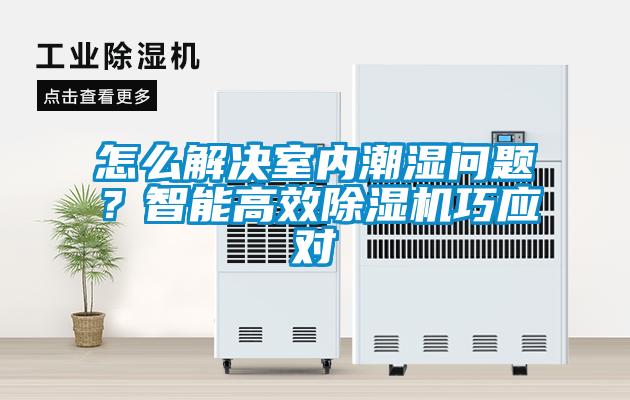 怎么解決室內(nèi)潮濕問題？智能高效除濕機巧應(yīng)對