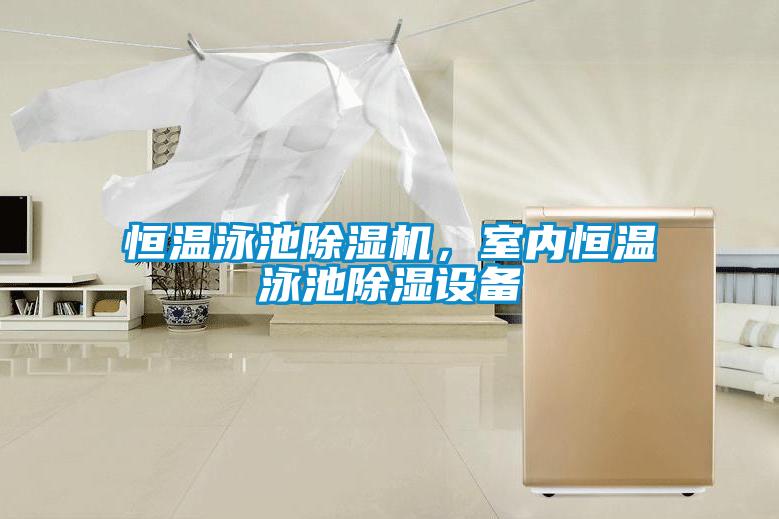 恒溫泳池除濕機，室內(nèi)恒溫泳池除濕設(shè)備
