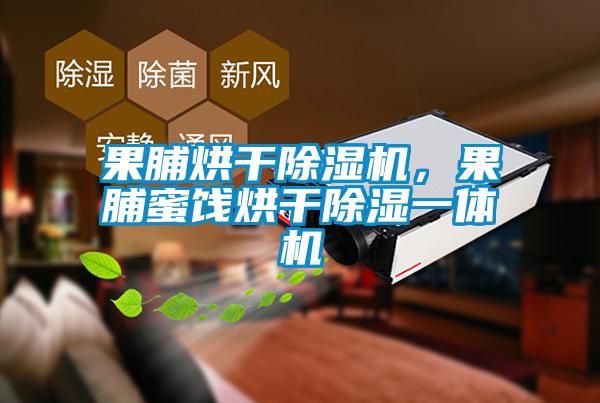 果脯烘干除濕機(jī)，果脯蜜餞烘干除濕一體機(jī)