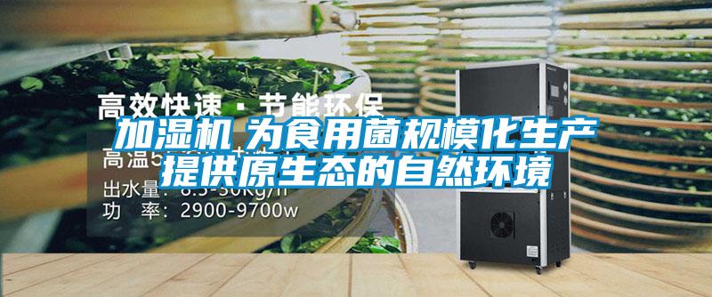 加濕機(jī)　為食用菌規(guī)?；a(chǎn)提供原生態(tài)的自然環(huán)境