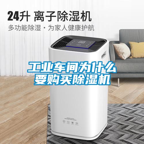 工業(yè)車間為什么要購買除濕機(jī)