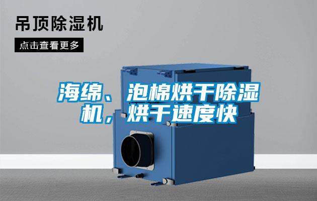 海綿、泡棉烘干除濕機，烘干速度快