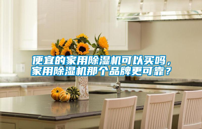 便宜的家用除濕機(jī)可以買(mǎi)嗎，家用除濕機(jī)那個(gè)品牌更可靠？