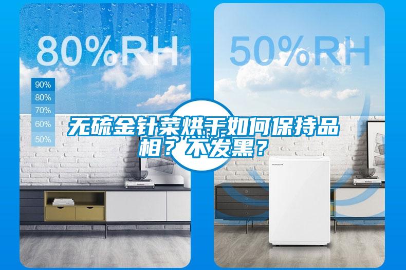無硫金針菜烘干如何保持品相？不發(fā)黑？