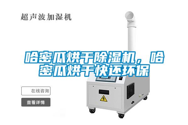 哈密瓜烘干除濕機，哈密瓜烘干快還環(huán)保