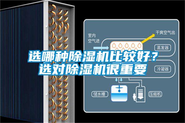 選哪種除濕機(jī)比較好？選對(duì)除濕機(jī)很重要