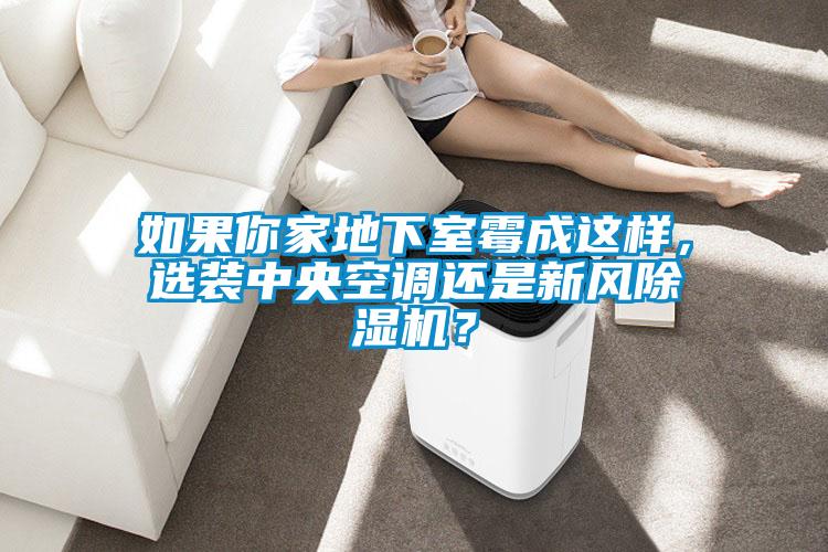 如果你家地下室霉成這樣，選裝中央空調(diào)還是新風除濕機？