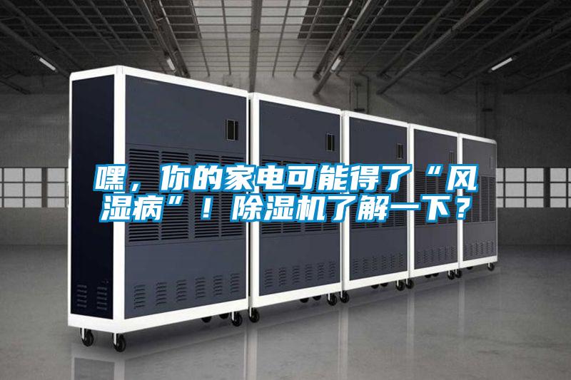 嘿，你的家電可能得了“風(fēng)濕病”！除濕機(jī)了解一下？