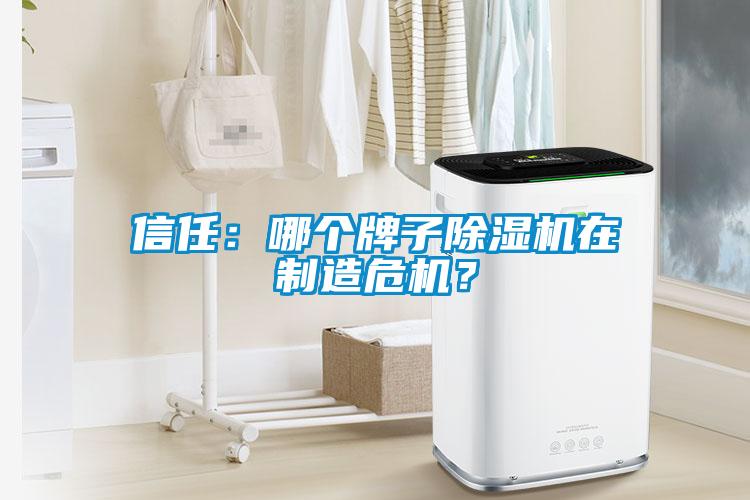 信任：哪個(gè)牌子除濕機(jī)在制造危機(jī)？