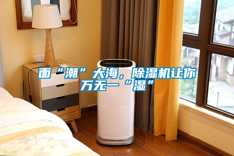 面“潮”大海，除濕機(jī)讓你萬無一“濕”