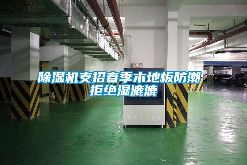 除濕機(jī)支招春季木地板防潮 拒絕濕漉漉